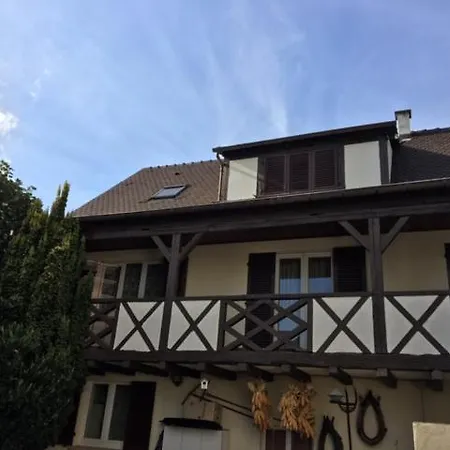 Les Hibiscus * Andolsheim